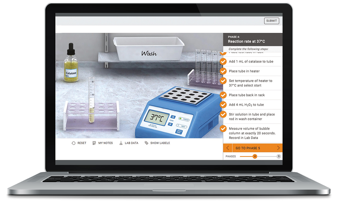 Schermata di un laptop che mostra i Virtual Labs